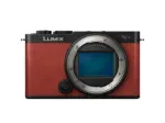 Picture of Panasonic Lumix S9 