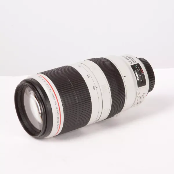 Immagine di Canon EF 100-400mm F.4,5-5,6 L IS II USM - ottime condizioni